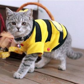 Cara Membuat Baju Kucing dari Kaos Kaki